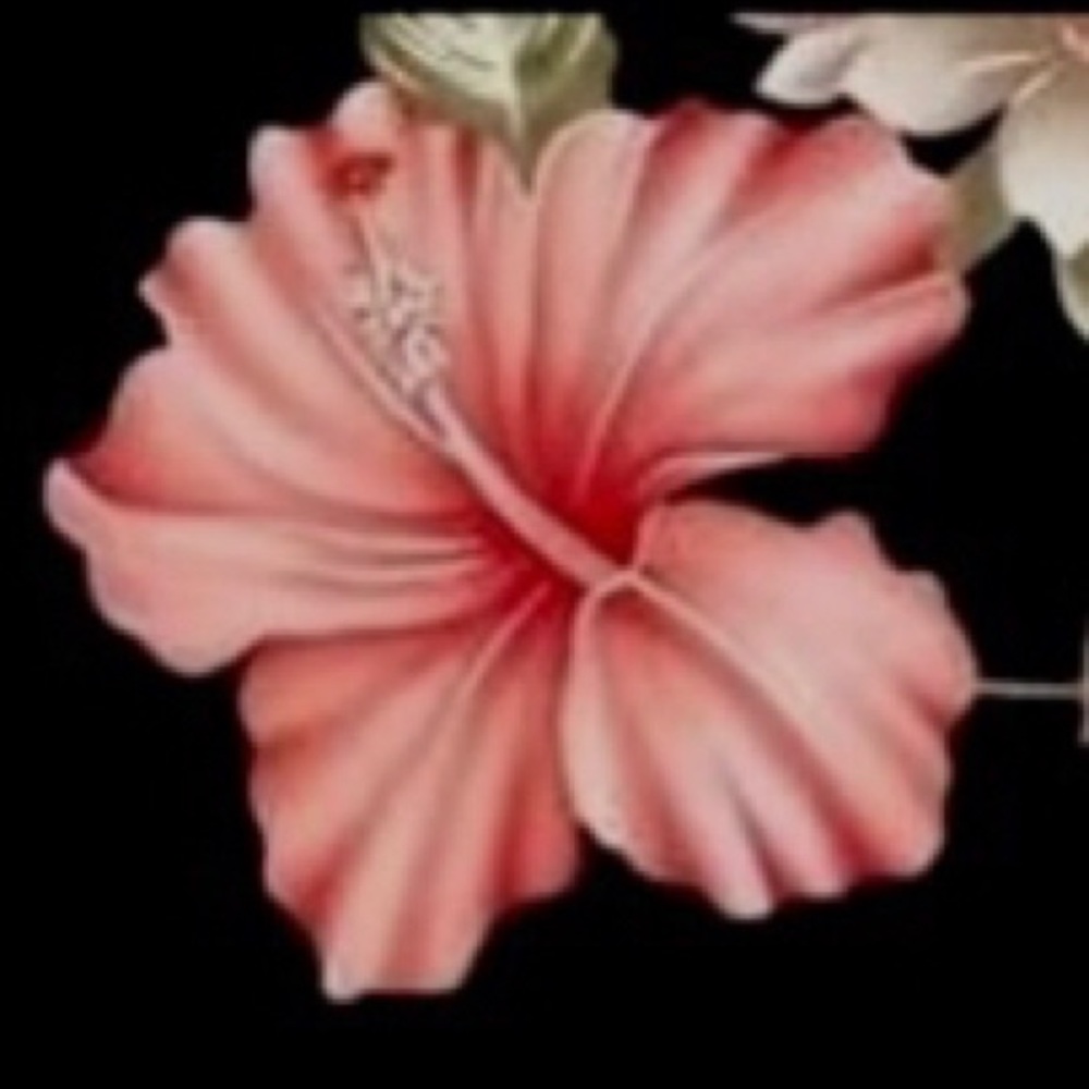 Meet your Posher, Shayla